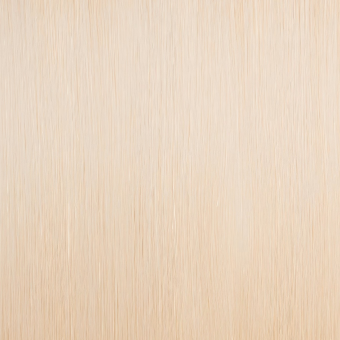 Classic Clip-in Human Hair - #24