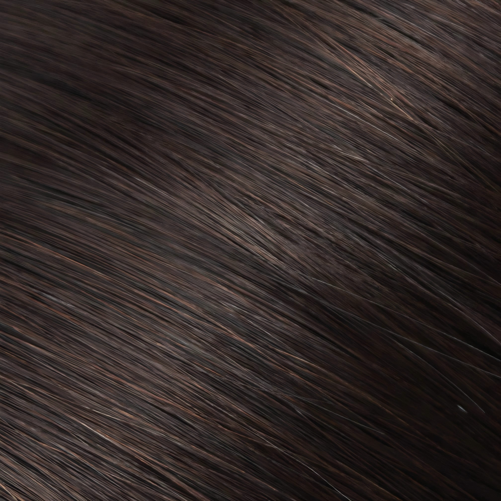 Classic Clip-in Human Hair - #2