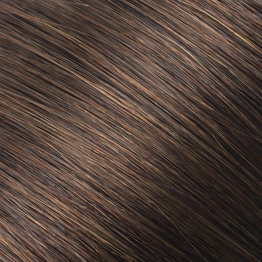 Classic Clip-in Human Hair - #4