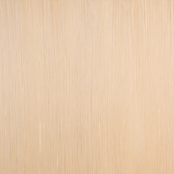 Classic Clip-in Human Hair - #22