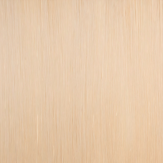 Classic Clip-in Human Hair - #22