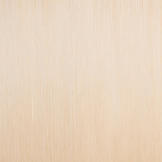 Classic Clip-in Human Hair - #24